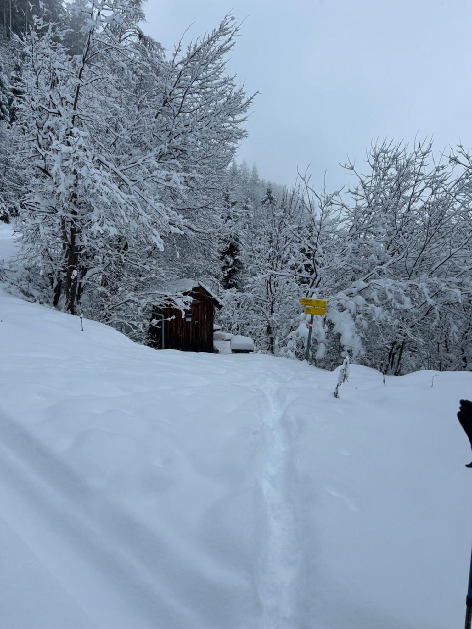 Haus Laubreuter Apartamento Kaprun Exterior foto